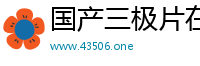 国产三极片在线观看